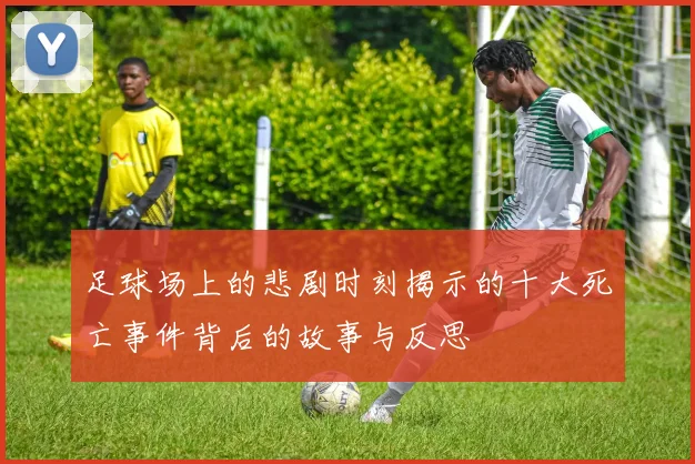 足球场上的悲剧时刻揭示的十大死亡事件背后的故事与反思