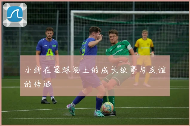 小新在篮球场上的成长故事与友谊的传递