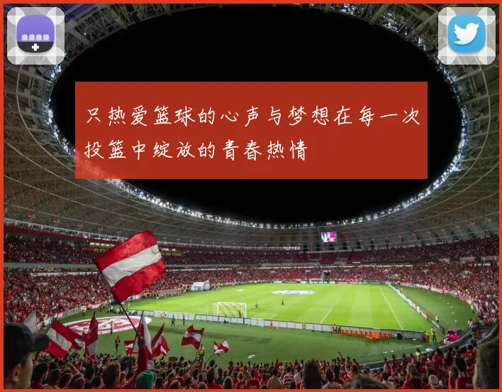 只热爱篮球的心声与梦想在每一次投篮中绽放的青春热情