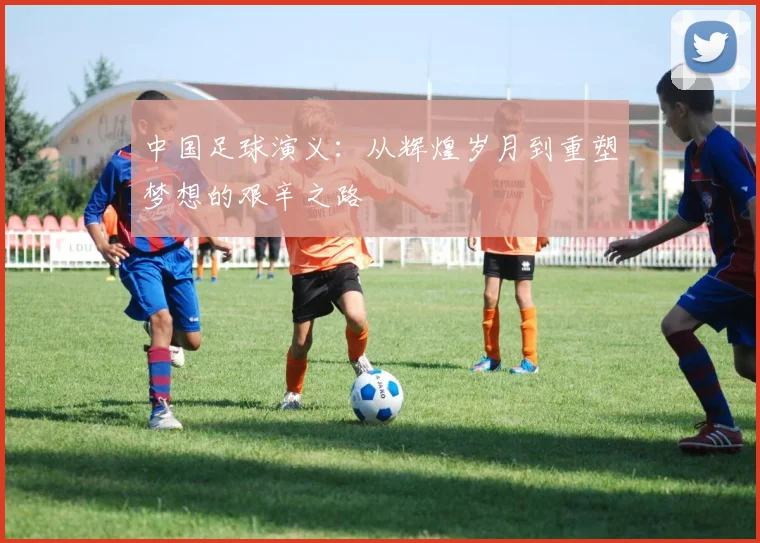 中国足球演义：从辉煌岁月到重塑梦想的艰辛之路