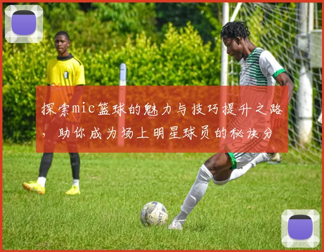 探索mic篮球的魅力与技巧提升之路，助你成为场上明星球员的秘诀分享