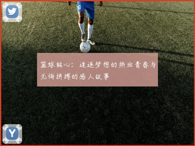 篮球铭心：追逐梦想的热血青春与无悔拼搏的感人故事