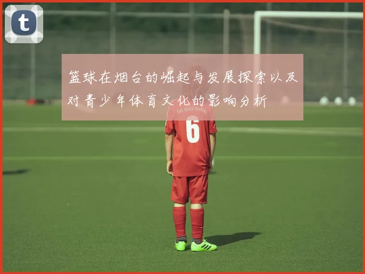 篮球在烟台的崛起与发展探索以及对青少年体育文化的影响分析