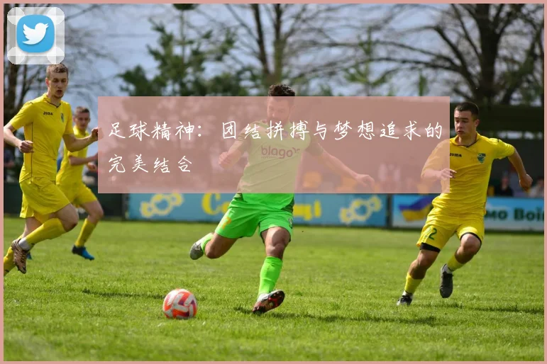 足球精神：团结拼搏与梦想追求的完美结合
