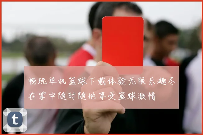 畅玩单机篮球下载体验无限乐趣尽在掌中随时随地享受篮球激情